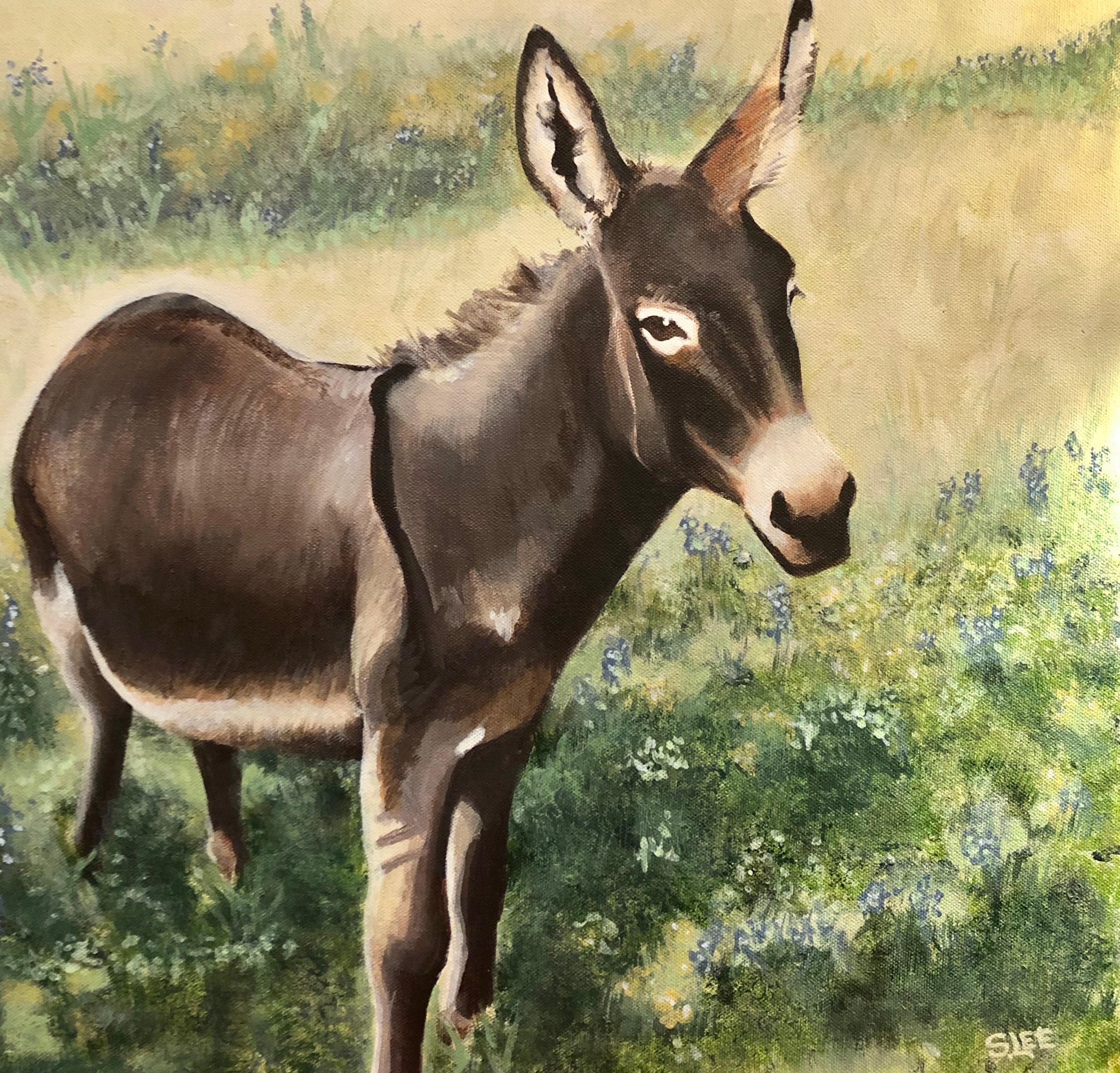 Waffles the Donkey Etsy