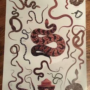 Vintage Smokey Bear Snake ID poster