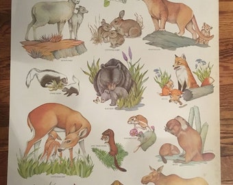 Vintage Smokey Bear Forest Babies Poster