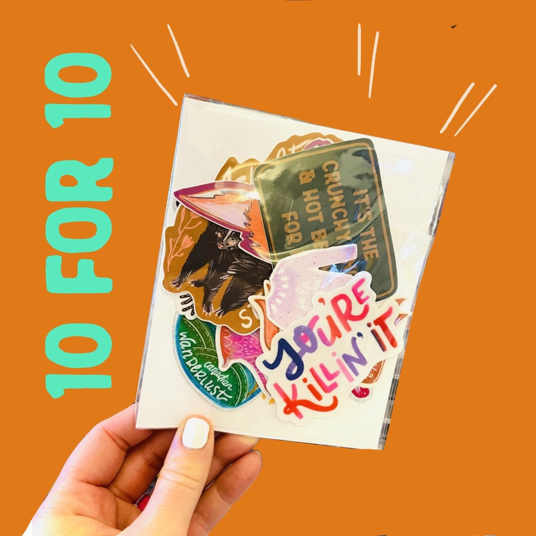 10 for 10 Mystery Sticker Pack Sticker Pack Mega Stickers - Etsy