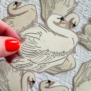 Neutral Swan sticker, nature vinyl sticker, swan stickers , waterproof sticker, neutral swan, bird sticker, vintage illustration