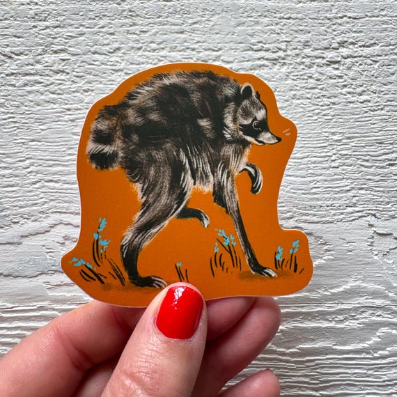 Seattle raccoon sticker, whimsical decal, vinyl sticker, nature theme, local animals , backyard anima lwaterproof, neutral stationery