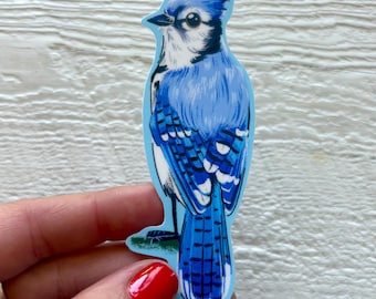 May include: A blue jay sticker with a detailed illustration of the bird. The sticker features shades of blue, white, and black, with the bird's feathers and features clearly defined. The sticker is on a light blue background.