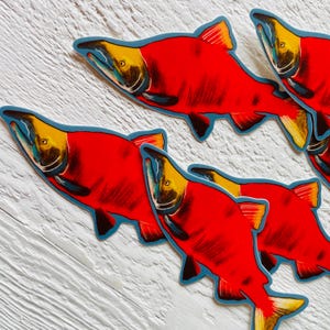 Puede incluir: Cuatro pegatinas de salm&oacute;n rojo con contornos azules y detalles amarillos. Las pegatinas est&aacute;n sobre una superficie de madera blanca.