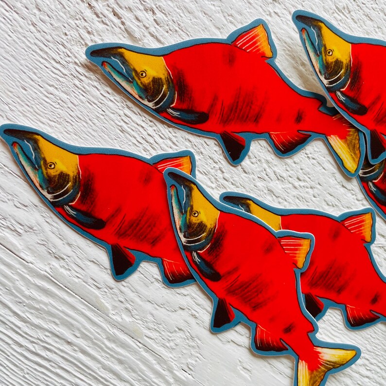 Puede incluir: Cuatro pegatinas de salm&oacute;n rojo con contornos azules y detalles amarillos. Las pegatinas est&aacute;n sobre una superficie de madera blanca.