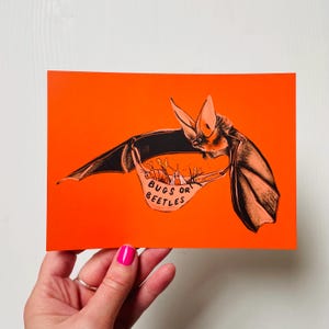 May include: A black and orange illustration of a bat carrying a bag of bugs and beetles. The bag is labelled "Bugs or Beetles". The image is on a bright orange background.