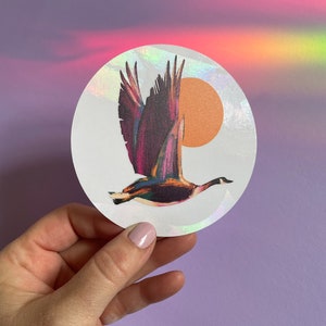 Goose sun catcher, window prism, clear film, rainbow prism film, best gifts, gender neutral, dorm room decor, flying birds insect