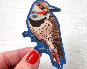 Northern flicker matte sticker, vinyl decal, woodpecker, waterproof illustrated stationary, neutral gifts, Canadian camp kitsch gift animal