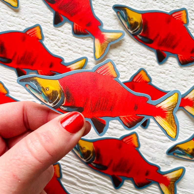 Puede incluir: Un conjunto de pegatinas de peces rojos de salm&oacute;n con contornos azules. Las pegatinas est&aacute;n sobre una superficie de madera blanca.