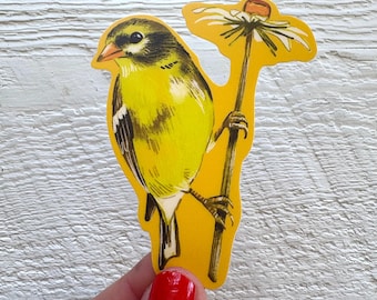 Goldfinch matte sticker, vinyl decal,  small birds, waterproof illustrated stationary, neutral gifts, Canadian camp kitsch gift animal art