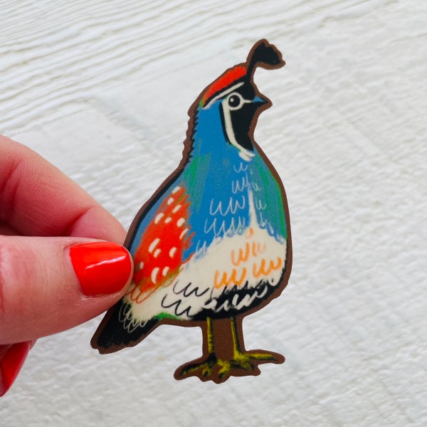 Little quail sticker, vinyl decal, nature sticker, waterproof illustrated bird stationary, neutral gifts, Canadian artist game bird, gifting