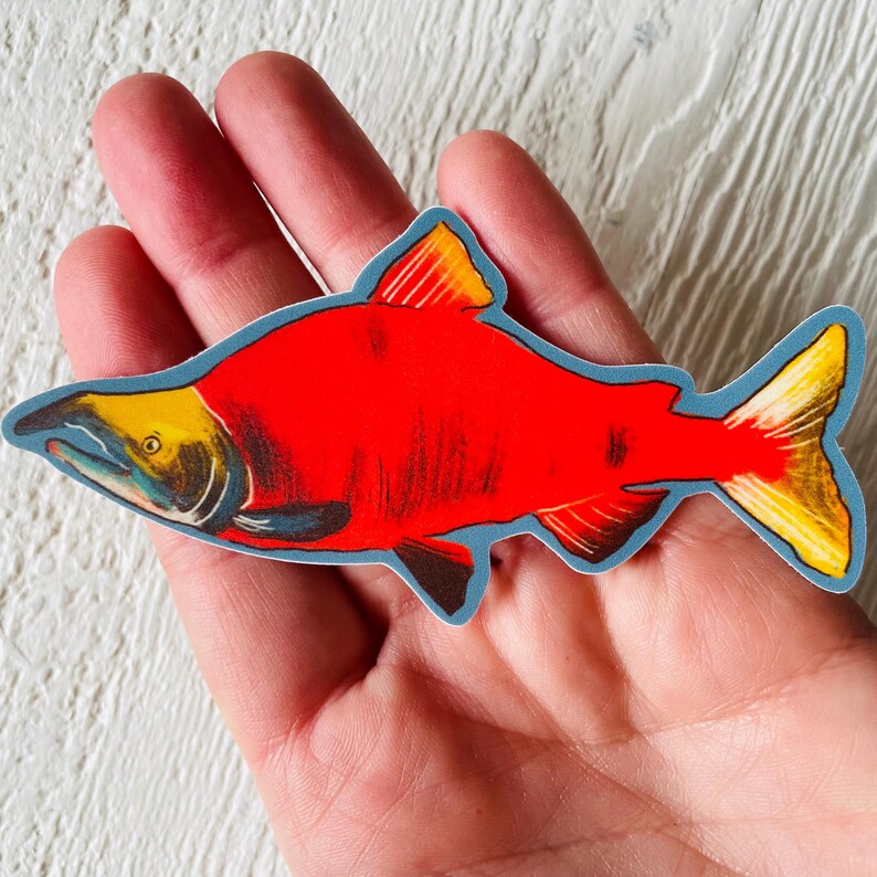 Puede incluir: Una pegatina de pez salm&oacute;n rojo y amarillo con un contorno azul. La pegatina est&aacute; en la mano de una persona.
