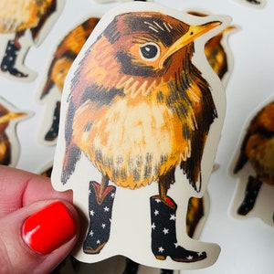 May include: A brown and white bird wearing cowboy boots with black and white stars. The bird is standing on a white background.