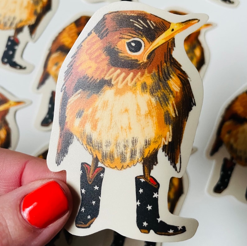 May include: A brown and white bird wearing cowboy boots with black and white stars. The bird is standing on a white background.