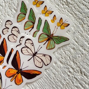 Moth and butterflies sticker, clear sticker, nature sticker, boho moths, gender neutral, tall sticker, butterfly illustration image 6