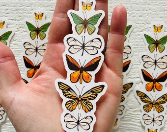Moth and butterflies sticker, clear sticker, nature sticker, boho moths, gender neutral, tall sticker, butterfly illustration
