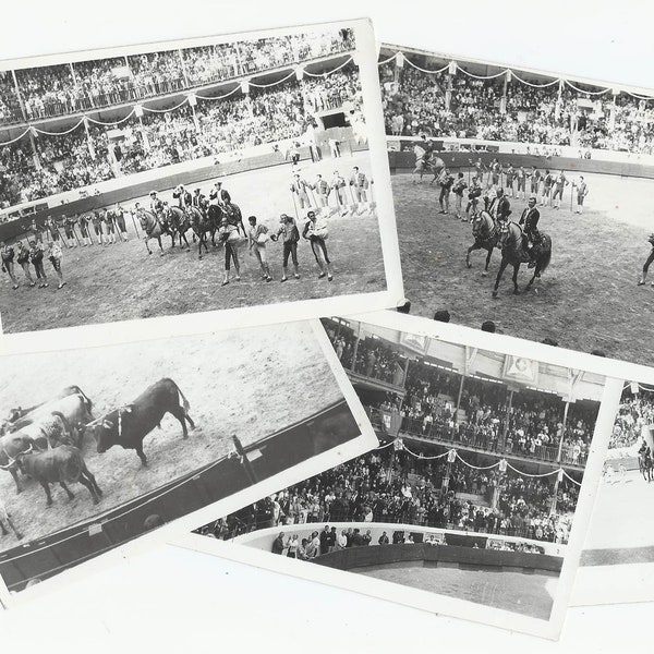 Bullfighting Arena, 5 Vintage Photos, Santarém Portugal, B&W 26.05.1963