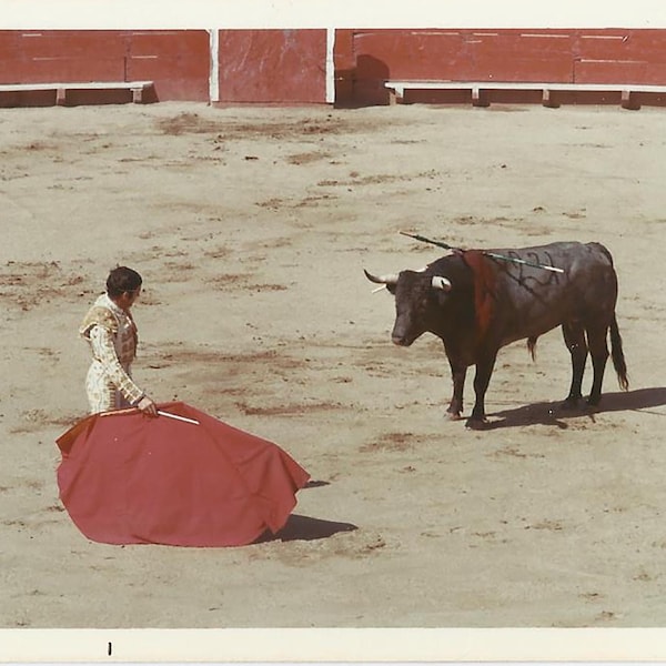 Mexican Bullring-Bullfighting Arena, 6 Vintage Photos, Various Scenes, Matador and Bull