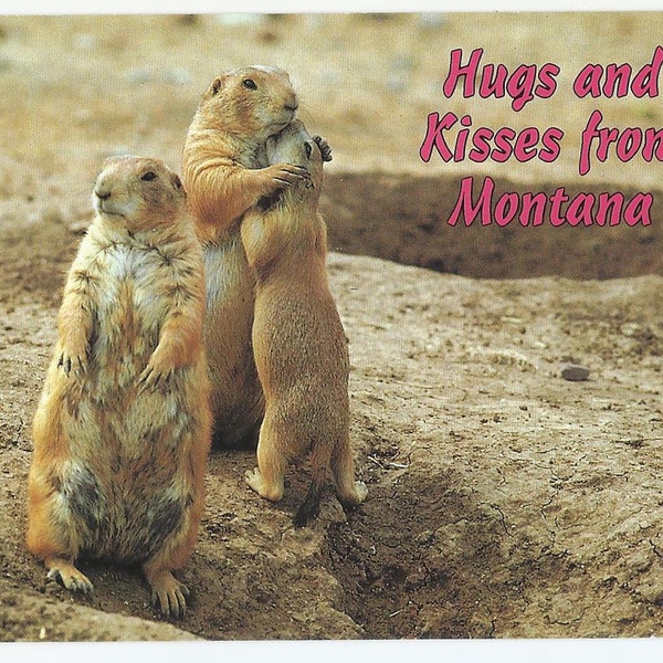Montana USA, Vintage Postcard, Prairie Dogs Abound-Hugs and Kisses from Montana