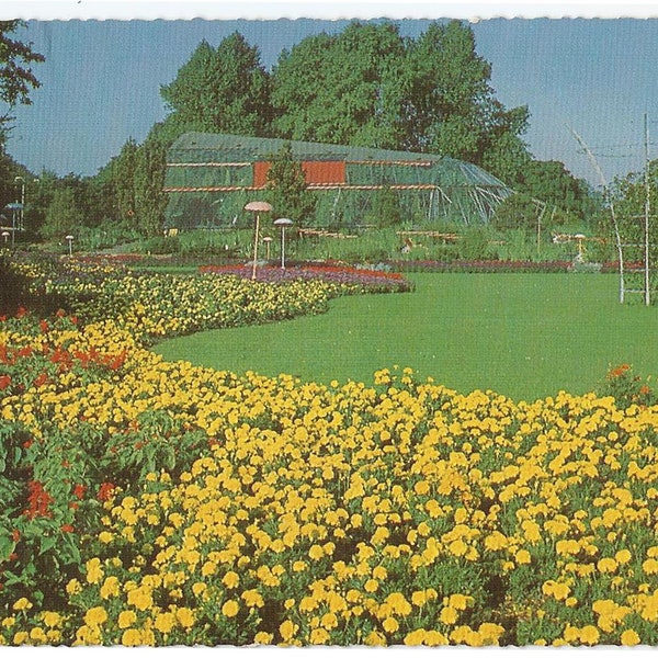 Hamburg Germany, Vintage Postcard, Flower Carpet-Garden, International Horticultural Expo, Official Seals, 1963