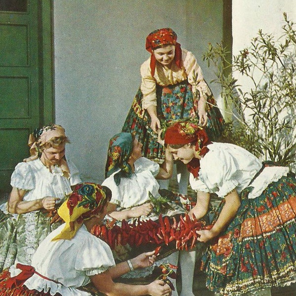 Traditional Costumes of Sárpilis-Hungary, Vintage Postcard, Women in Folk Costumes, Hungarian Print, 1960s