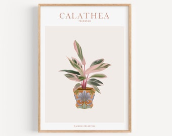 Affiche CALATHEA, House Plants Poster, Illustration Plantes, Affiche Botanique, Affiche Nature, Déco chambre, Poster, Peinture, Idée Cadeau