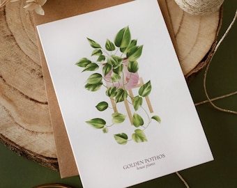 Set of 8 A6 Golden Pothos HOUSE PLANTS Cards, Botanical Illustration, Postcard, Greeting Card, Plant Illustration, Botany Print