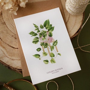 Set of 8 A6 Golden Pothos HOUSE PLANTS Cards, Botanical Illustration, Postcard, Greeting Card, Plant Illustration, Botany Print image 1