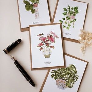 Set of 8 A6 Golden Pothos HOUSE PLANTS Cards, Botanical Illustration, Postcard, Greeting Card, Plant Illustration, Botany Print image 6