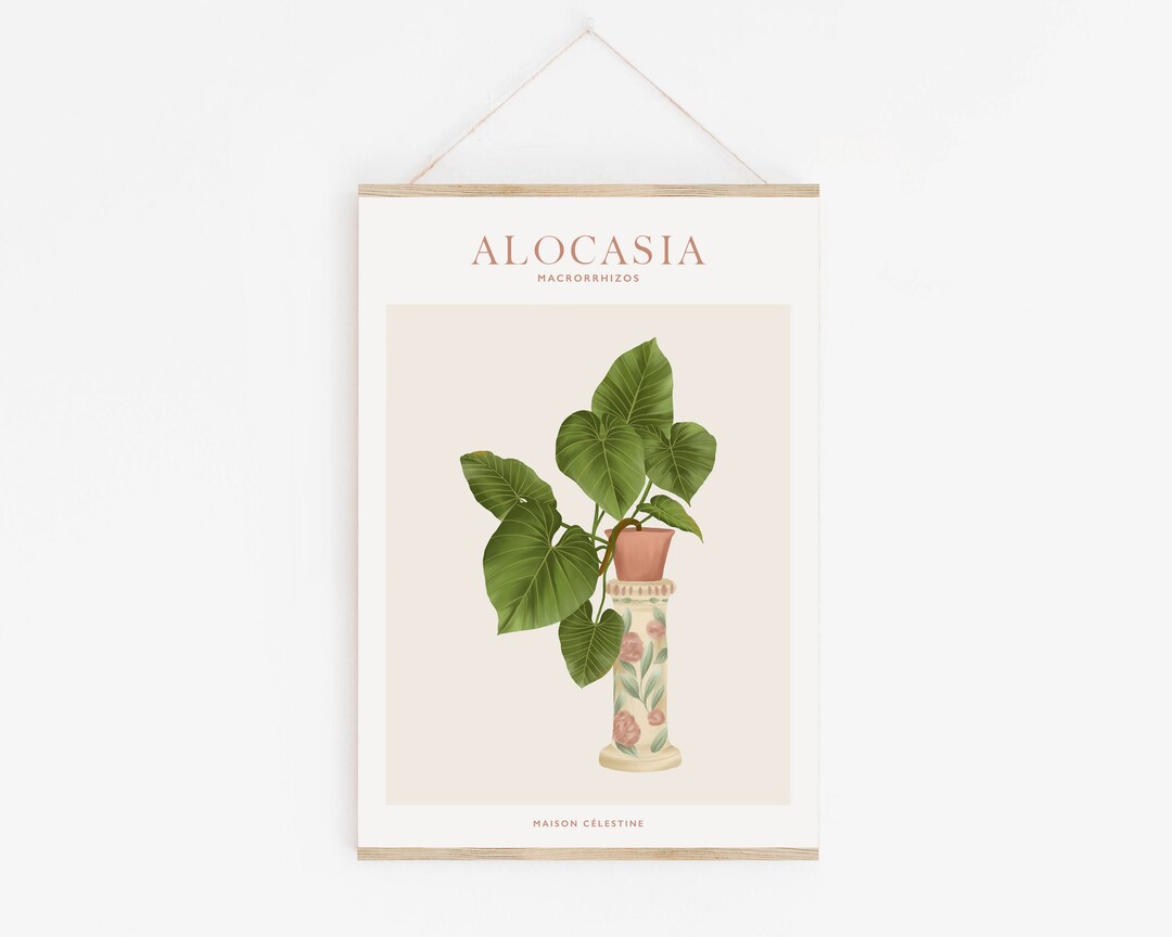 ALOCASIA Poster House Plants Poster Illustration Poster - Etsy