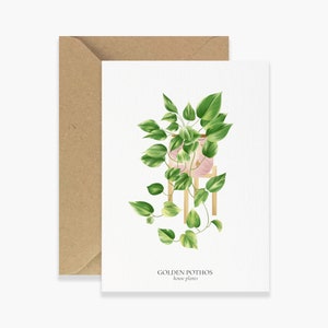 Set of 8 A6 Golden Pothos HOUSE PLANTS Cards, Botanical Illustration, Postcard, Greeting Card, Plant Illustration, Botany Print image 2