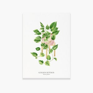 Set of 8 A6 Golden Pothos HOUSE PLANTS Cards, Botanical Illustration, Postcard, Greeting Card, Plant Illustration, Botany Print image 3