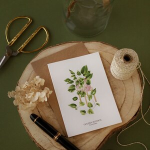 Set of 8 A6 Golden Pothos HOUSE PLANTS Cards, Botanical Illustration, Postcard, Greeting Card, Plant Illustration, Botany Print image 5