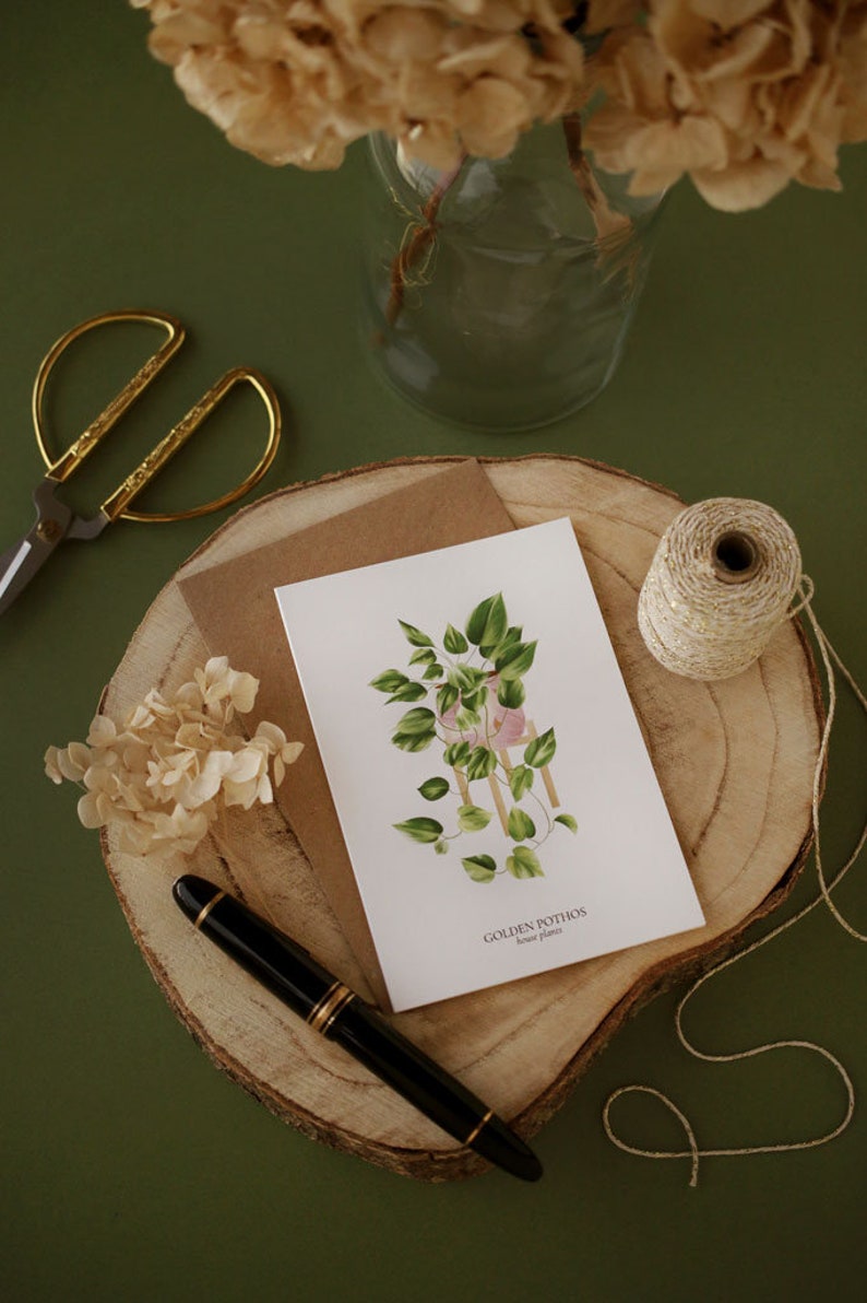 Set of 8 A6 Golden Pothos HOUSE PLANTS Cards, Botanical Illustration, Postcard, Greeting Card, Plant Illustration, Botany Print image 5