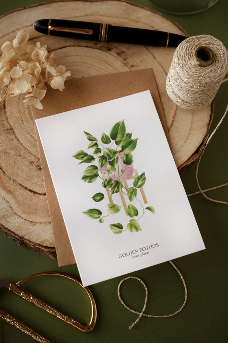 Set of 8 A6 Golden Pothos HOUSE PLANTS Cards, Botanical Illustration, Postcard, Greeting Card, Plant Illustration, Botany Print image 1