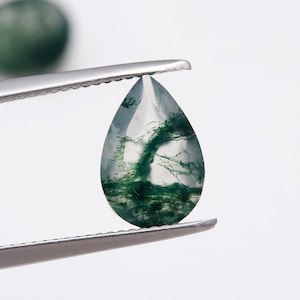 Pode incluir: Uma gema de ágata verde em forma de lágrima com um padrão dendrítico único, segurada por pinças contra um fundo branco.