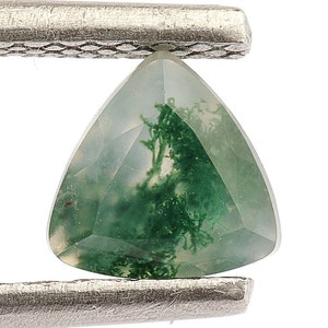 Best Quality Natural Moss Agate Trillion Shape, Calibrated Loose Gemstone For Jewelry Making Crystal, Tree Moss Agate, birthday Gift 5X5 mm