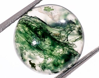 Cabochon de forme ronde en agate mousse naturelle, pierre précieuse en vrac en agate mousse pour la fabrication de bijoux, taille calibrée de la cabine en pierre précieuse à dos plat 10 x 10 mm