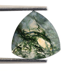 Natural Moss Agate Trillion Shape Faceted Cut, Moss Loose Gemstone For Jewelry Making, Green Agate Trillion Calibrated Size 11X11 mm