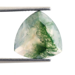 Natural Moss Agate Trillion Shape Brilliant Cut, Moss Loose Gemstone For Jewelry Making, Mossy Agate Calibrated Size 13X13 mm Birthday Gift