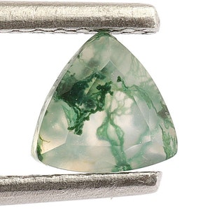 Natural Moss Agate Trillion Shape Faceted Cut, Moss Agate Loose Gemstone For Jewelry Making, Moss Agate Trillion Cut Calibrated Size 5X5mm