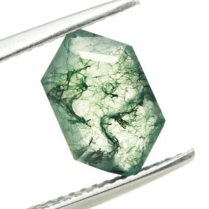 Puede incluir: Una piedra preciosa de ágata verde musgo con un patrón único e intrincado de vetas y remolinos verdes. La piedra preciosa está cortada en forma hexagonal y está sujeta por unas pinzas.