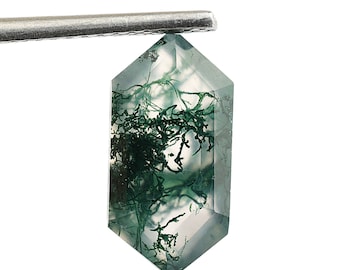 Natural Tree Moss Agate Elongated Hexagon Shape, Loose Gemstone For Jewelry Making, Faceted Cut Moss Agate Hexagon Calibrated Size 12X6 mm