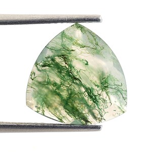 Moss Agate Trillion Brilliant Cut Stone, Natural Moss Agate Trillion Loose Gemstone For Jewelry Making, Mossy Agate Calibrated Size 13X13 mm