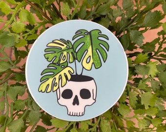 Monstera Thai Constellation Skull Sticker