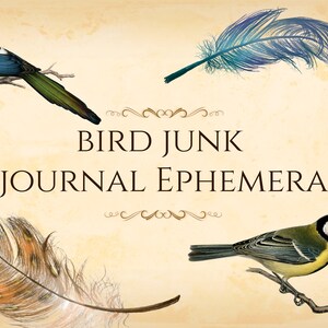 Bird Junk Journal Ephemera Kit