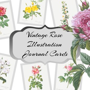 Cartões de diário digital com ilustrações de rosas vintage