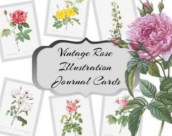 Vintage Rose Illustrations Digital Journal Cards