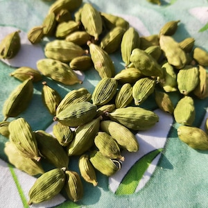 Kardemom Single Estate Farm, vers van huis in Kerala, Zuid-India, Malabar Spice Mountains Biologische kruiden voor een gezonde keuken en bakken