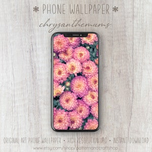 携帯電話の壁紙 | 菊 | 携帯電話の背景 | すぐにダウンロード | ピンクの花 | iPhoneの壁紙